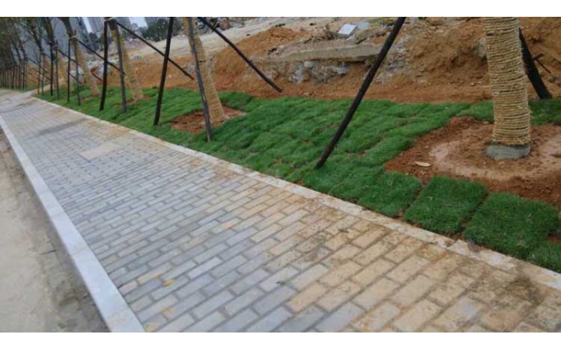 湖南華苑園林為長沙金州大道注入綠色生機